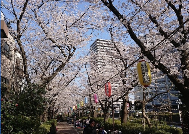 公園　南砂緑道公園（公園）まで382m
