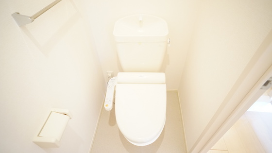 グレイスアベニュー一身田Aのトイレ写真