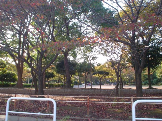 公園　新松戸中央公園（公園）まで210m