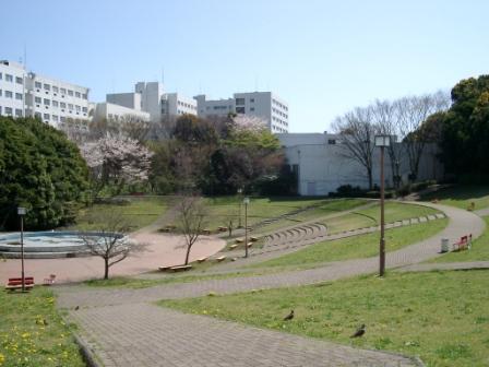 大学・短大　横浜国立大学（大学・短大）まで1775m