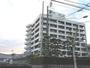 その他　宇和島市役所（その他）まで381m