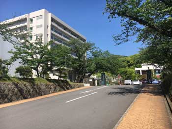 【濱口食彩館ビルの大学・短大】