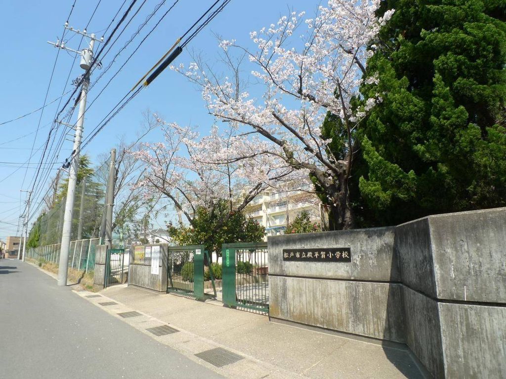 【松戸市大谷口のアパートの小学校】