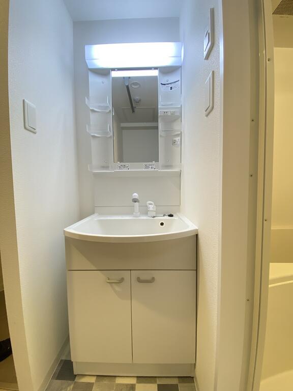 洗面設備　シャワードレッサー付きです！