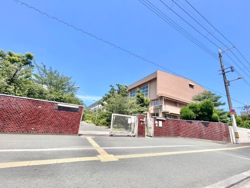 高校・高専　大阪府立布施高校（高校・高専）まで1655m