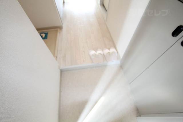 玄関　写真は１号室の写真です