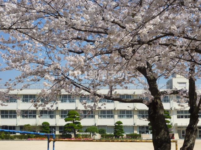 小学校　下関市立小月小学校（小学校）まで576m