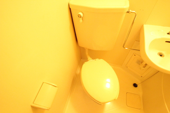 トイレ　※別号室の写真です。