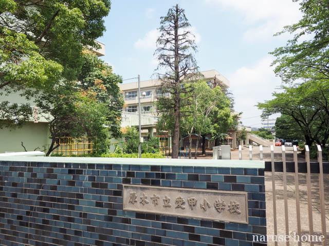 小学校　厚木市立愛甲小学校（小学校）まで483m