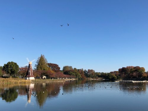 公園　浮間公園（公園）まで1721m