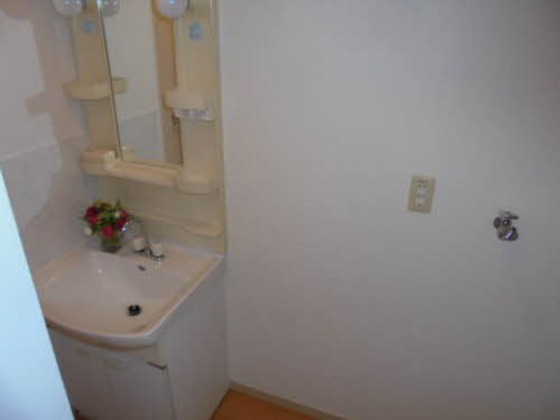 洗面設備　他号室のお写真です