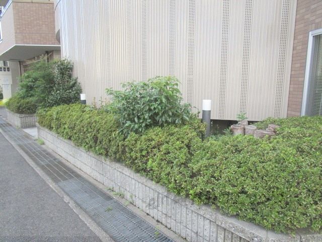 庭　植栽