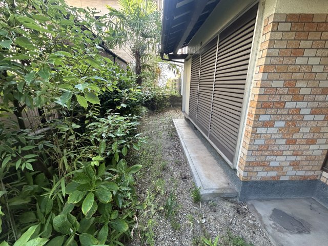 庭
