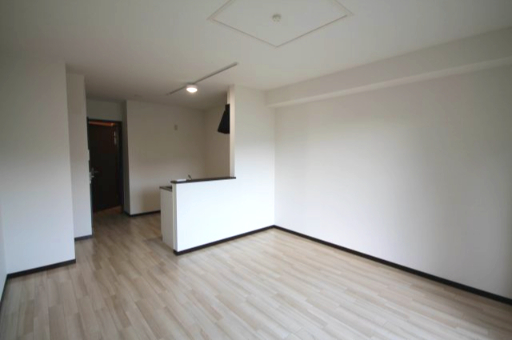 居室・リビング　※同物件別号室の写真になります