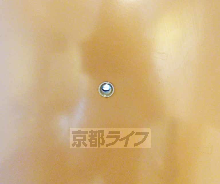 セキュリティ　来客安心です。