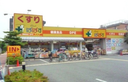 ドラックストア　どらっぐぱぱす 柴又３丁目店（ドラッグストア）まで623m