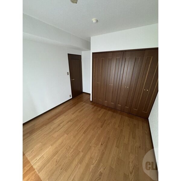 収納　大きなクローゼット収納