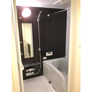 バス・シャワールーム　コンパクトで使いやすいお風呂です