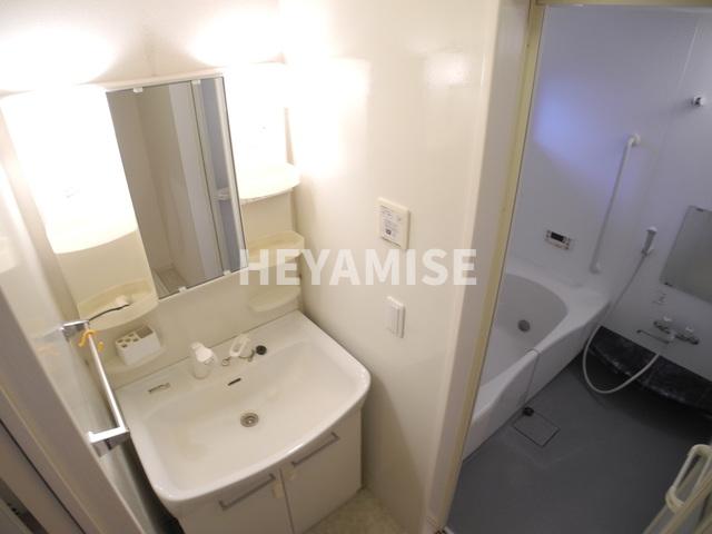 洗面設備　※室内画像は別号室のもの