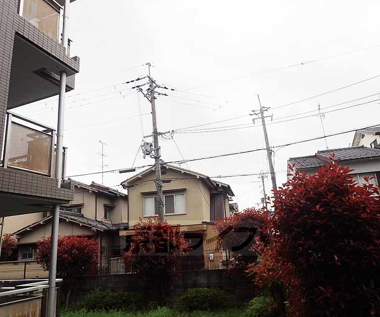 眺望　広々としています。