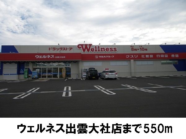 ドラックストア　ウェルネス出雲大社店（ドラッグストア）まで550m