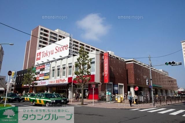 スーパー　金町東急ストア（スーパー）まで487m