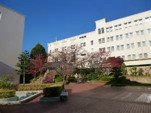 大学・短大　神戸海星女子学院大学　1000ｍ（大学・短大）まで1000m