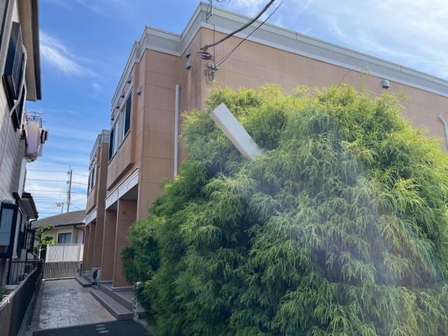 建物外観　外観写真（昼）