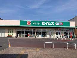 ドラックストア　ドラッグセイムスモールプラザ草加中央店（ドラッグストア）まで420m
