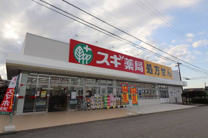ドラックストア　スギ薬局　富山小杉店（ドラッグストア）まで1084m