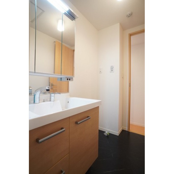 洗面設備　シャンプードレッサー、室内洗濯機置き場あり