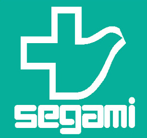 ドラックストア　ドラッグセガミ（ドラッグストア）まで240m