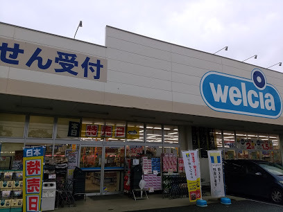 ドラックストア　ウエルシア上尾弁財店（ドラッグストア）まで484m