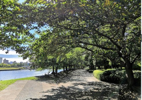 公園　石川島公園（公園）まで574m