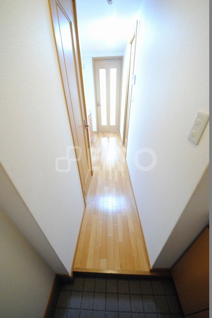 玄関　写真は２０３号室