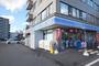 コンビニ　ローソンさいたま東大宮五丁目店（コンビニ）まで1101m