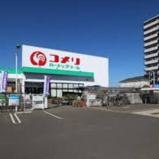 ホームセンター　コメリハード&グリーン白岡店（ホームセンター）まで617m