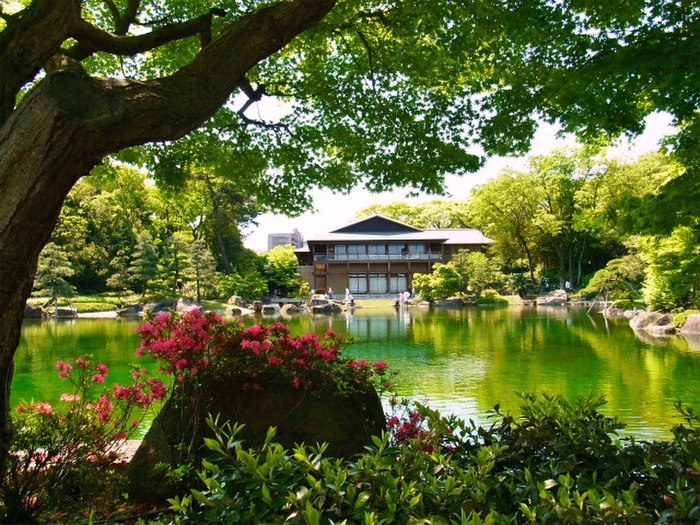 その他　徳川園（その他）まで850m
