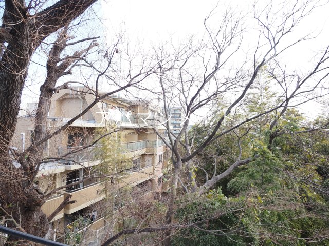 眺望　こんな感じです