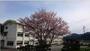 小学校　市川町立瀬加小学校（小学校）まで5341m