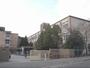 小学校　明徳小学校（小学校）まで540m