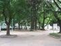公園　浦江公園（公園）まで280m