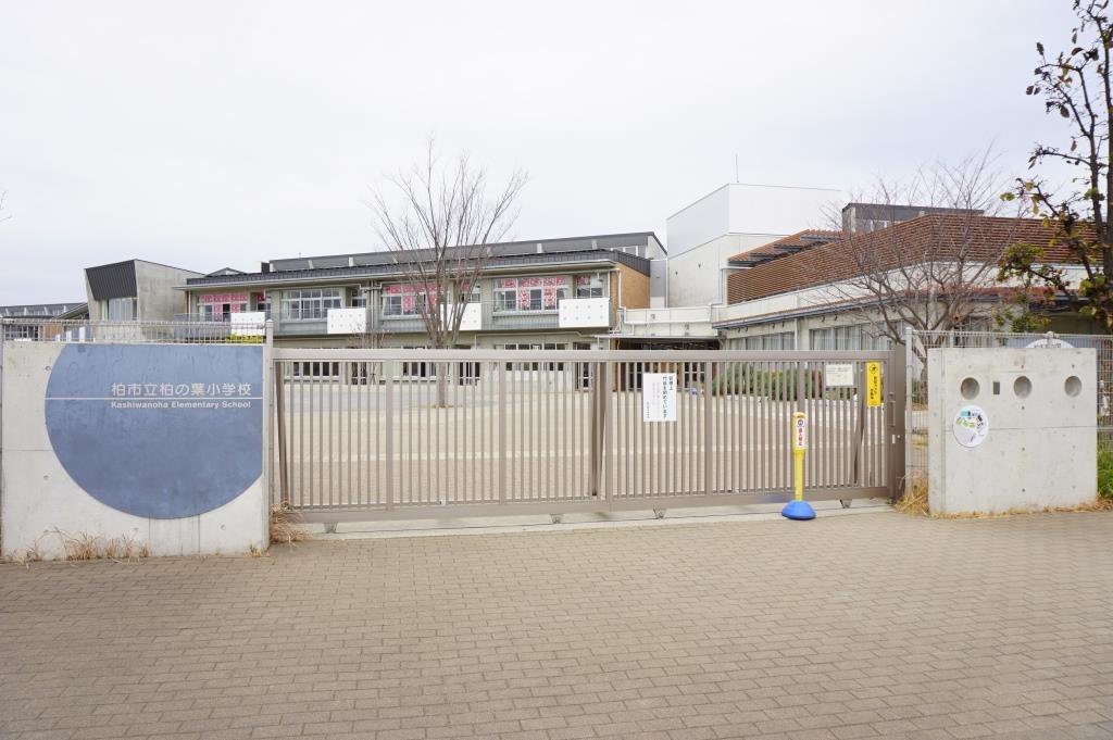 小学校　柏市立柏の葉小学校（小学校）まで799m