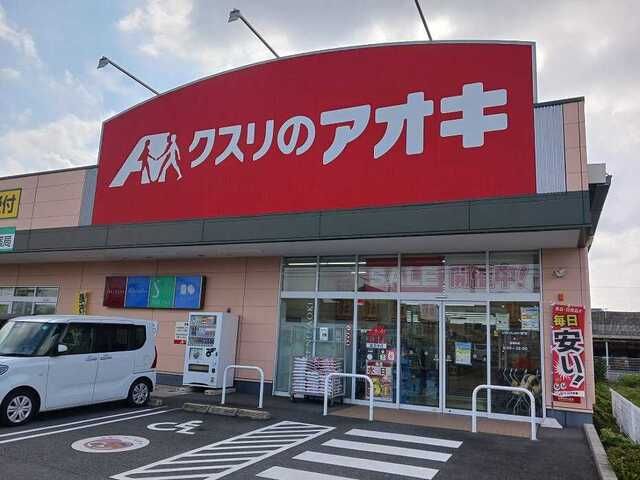 ドラックストア　クスリのアオキ国済寺店（ドラッグストア）まで700m