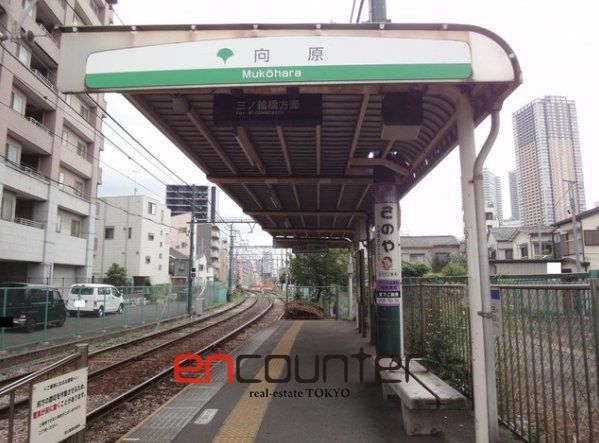 その他　向原駅(東京都交通局 荒川線)（その他）まで350m