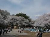公園　多摩川台公園（公園）まで1342m