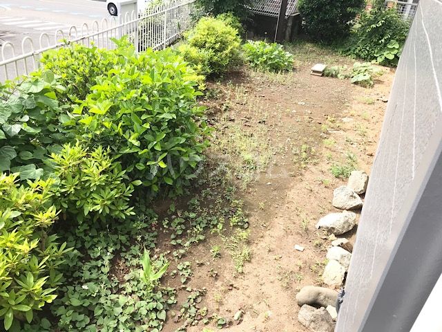 庭