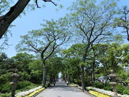 公園　住吉公園（公園）まで717m