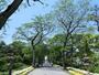 公園　住吉公園（公園）まで717m