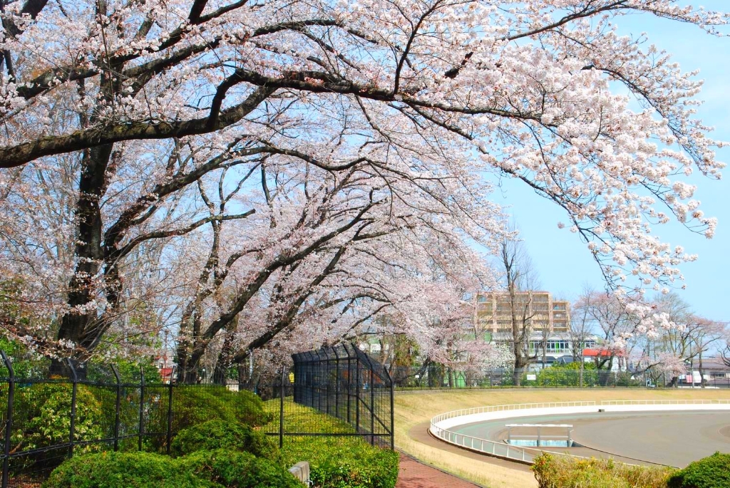 公園　富士森公園（公園）まで568m